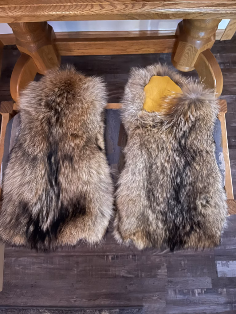Coyote Gauntlet Mittens